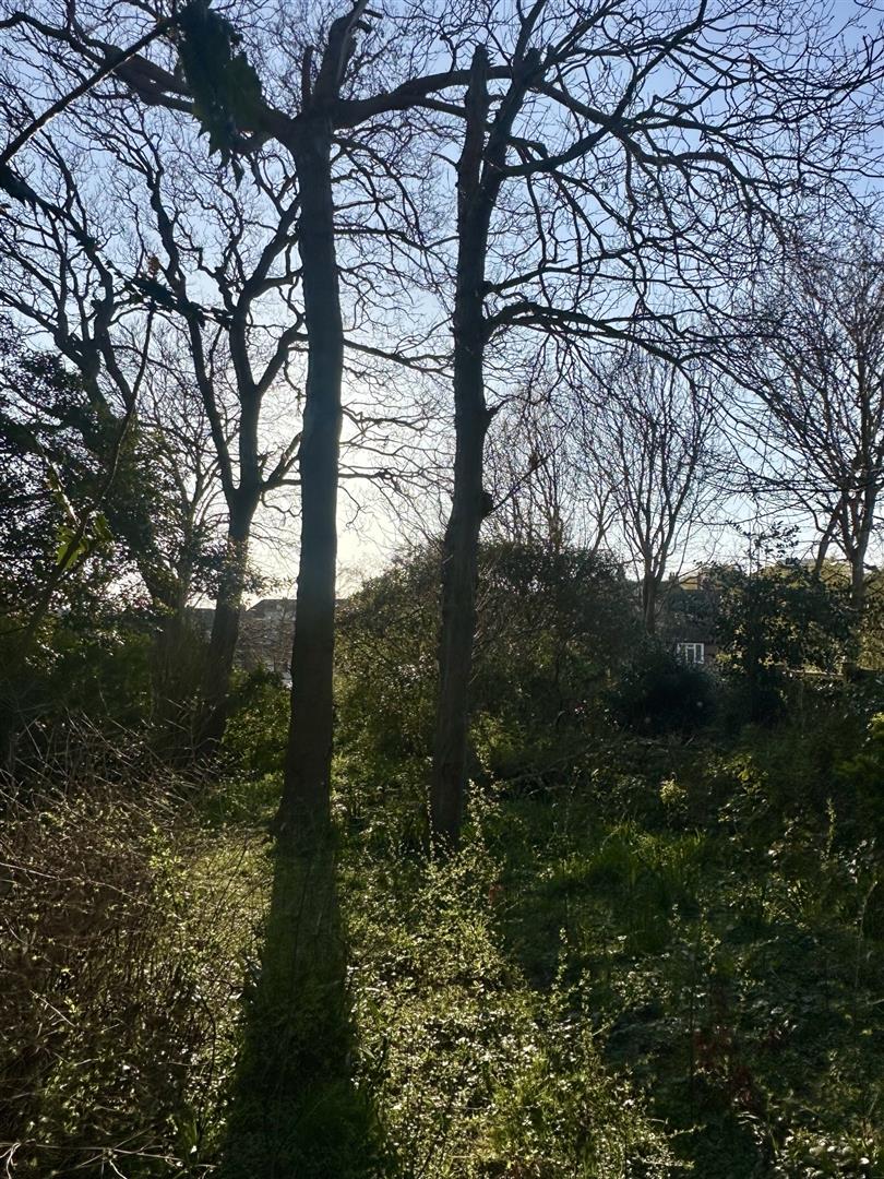 Sunningdale Close, Bexhill-On-Sea